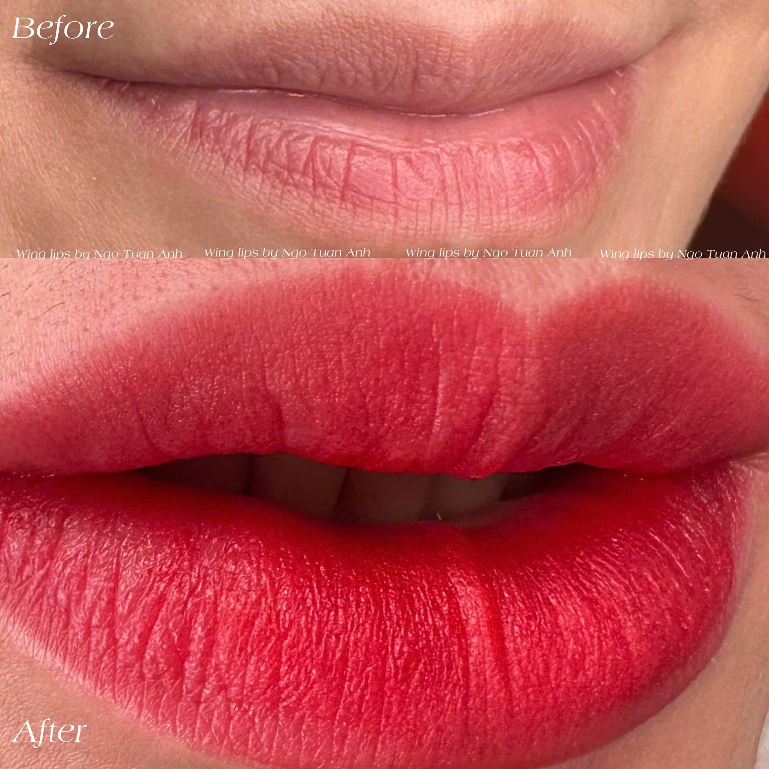 WINGS LIP