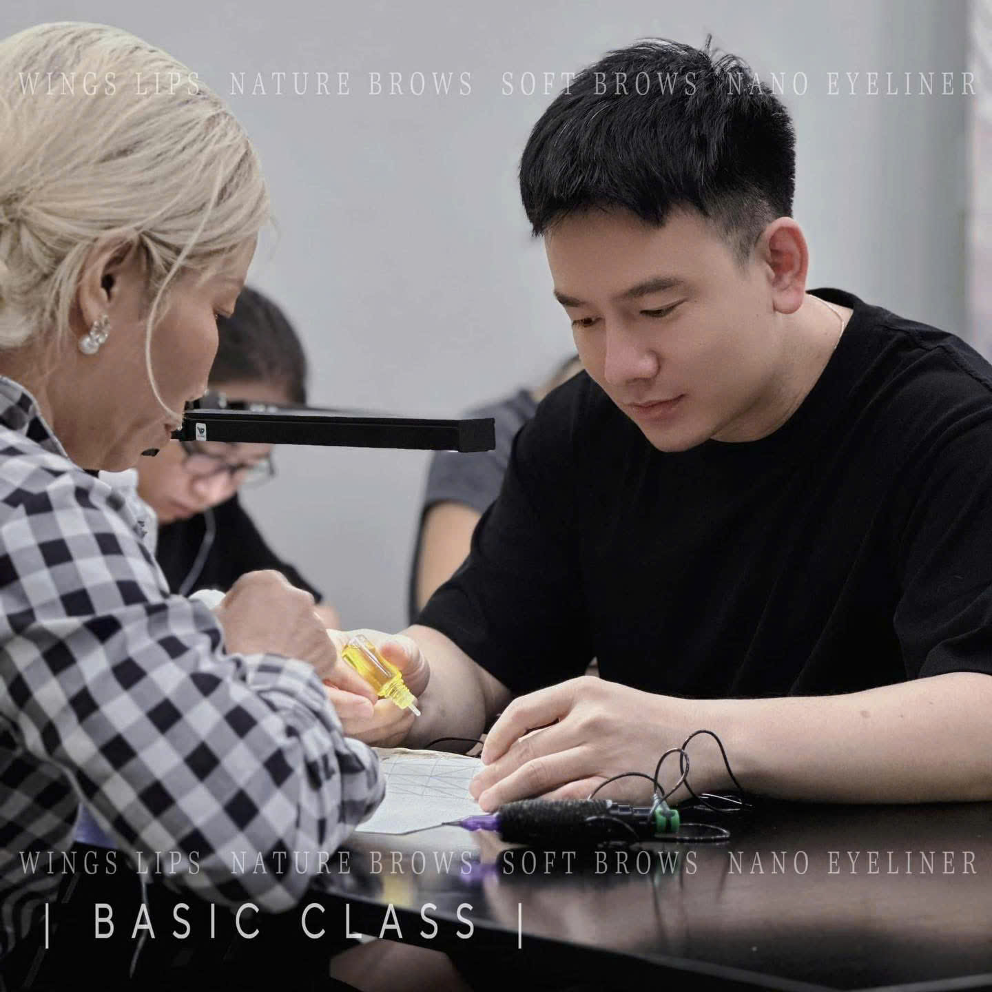  WINGS LIPS COURSE 